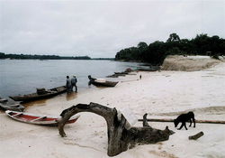 Amazonien-Fotosprezial  von P  Weidtkamp  RIO NEGRO -TUKANO LAND 006