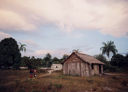 Amazonien-Fotosprezial  von P  Weidtkamp  RIO NEGRO -TUKANO LAND 119