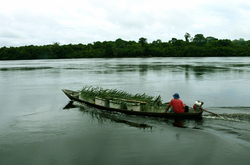 Amazonien-Fotosprezial  von P  Weidtkamp  RIO NEGRO -TUKANO LAND 143