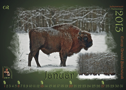 Kalender 2013 Deckbl002  u  Jan